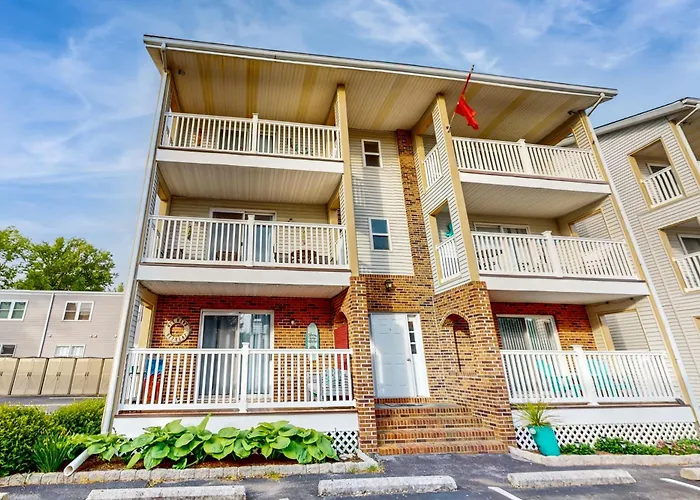 Apartment Pine Needle 109b2